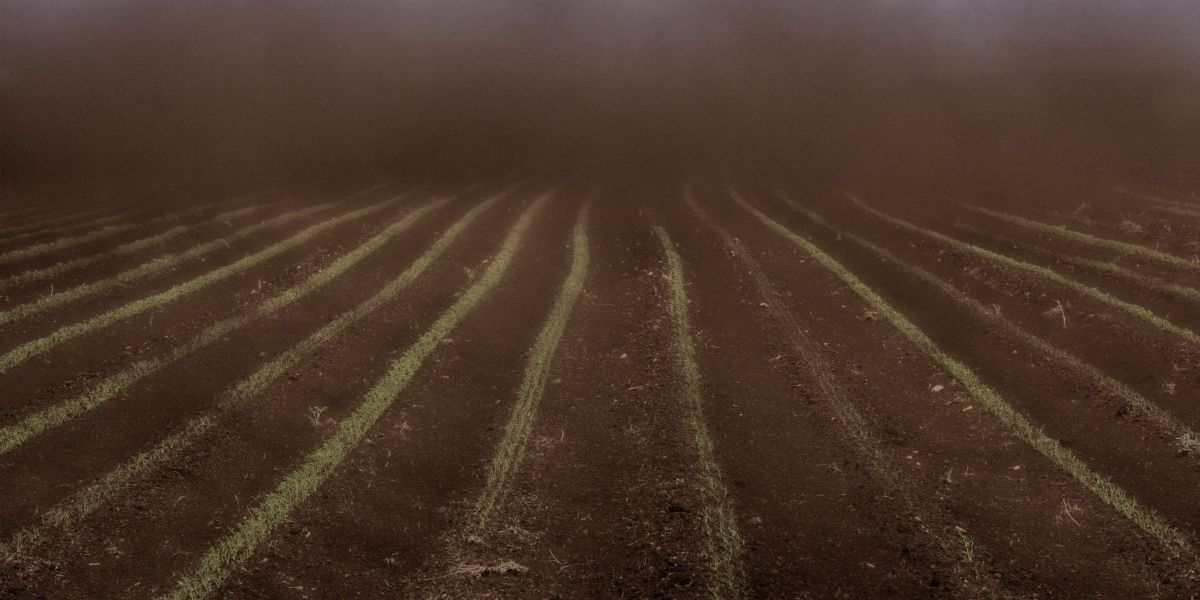 Dust Is a Growing Problem. What Role Does Farmland Play?