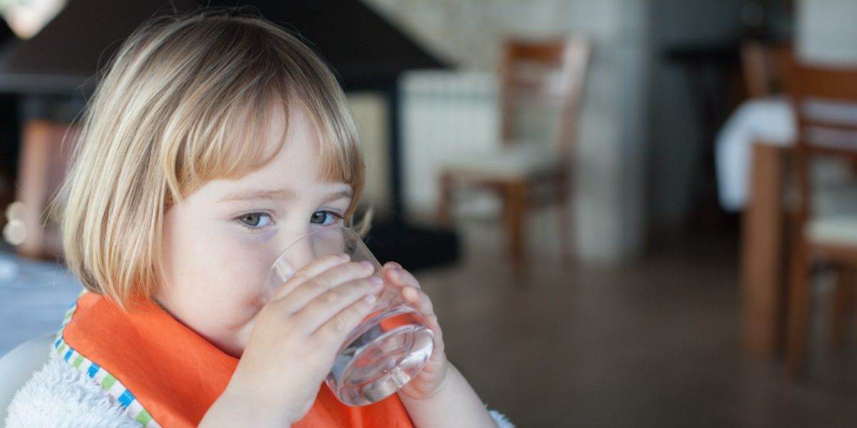 Amid Pipe Wars, Researchers Wary of Plastic Pipes Leaching Chemicals Environmental Working Group