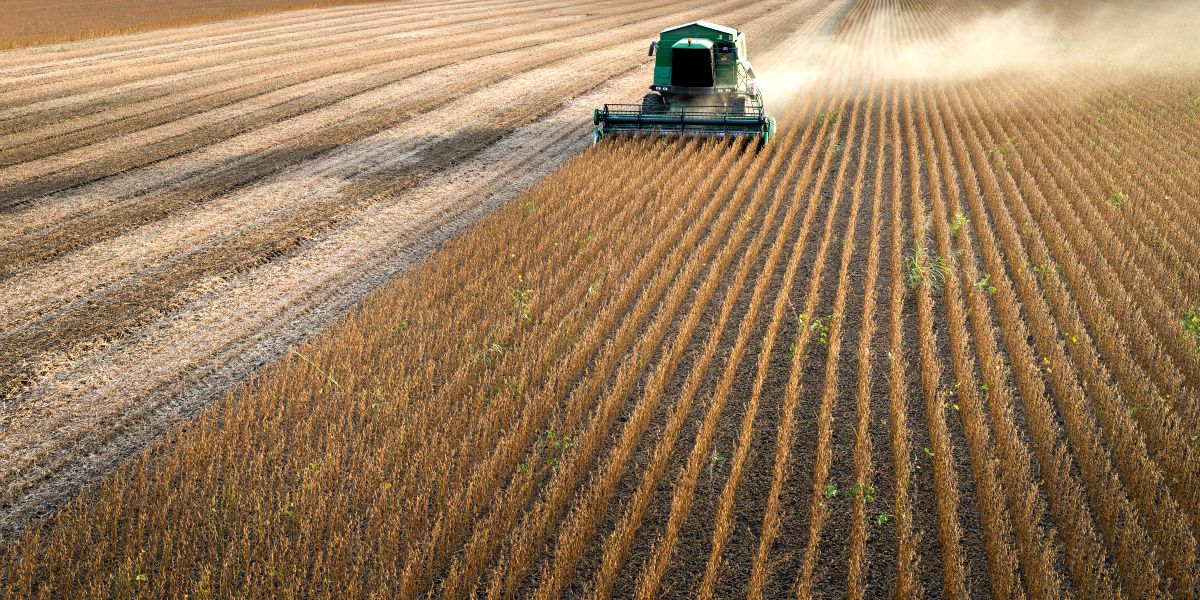The True Cost of Soybeans Environmental Working Group