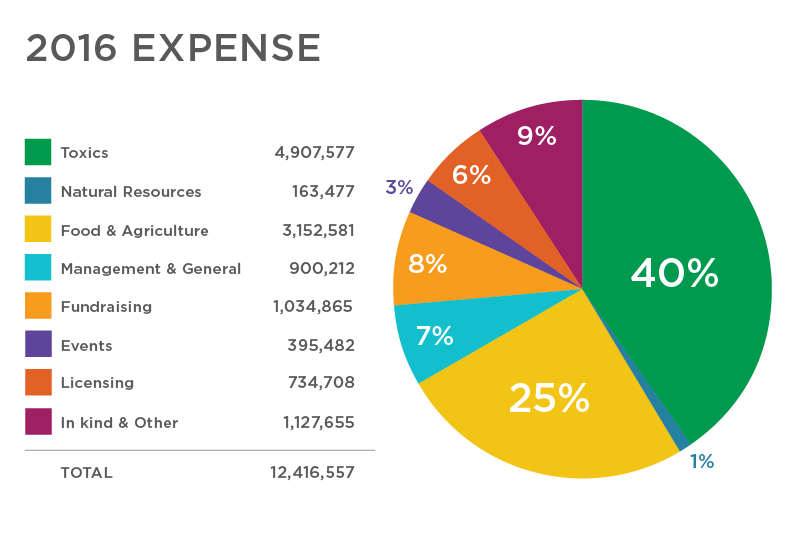 pie chart of expenses