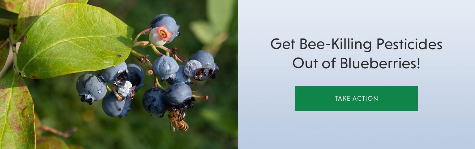 EWG's 2023 Shopper's Guide to Pesticides in Produce