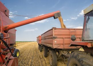 Farm subsidies, not anti-hunger programs, should be focus of budget cuts