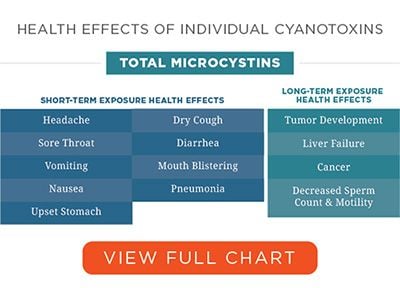 Health effects of cyanotixin table