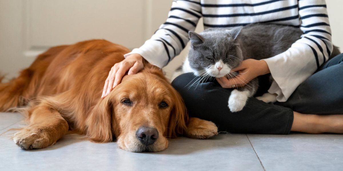 Safe, Non-toxic Care for Dogs