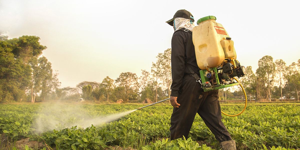 Vermont Senate advances landmark ban on Parkinson’s pesticide