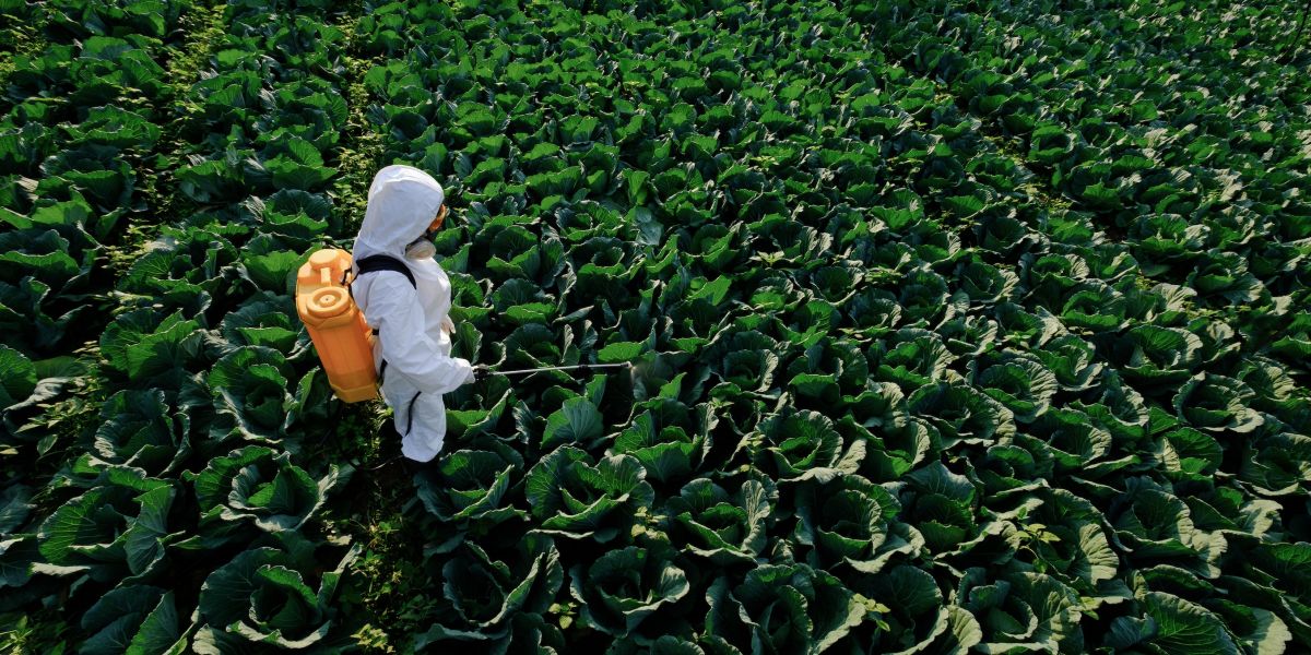 6 reasons why the toxic weedkiller paraquat must be banned now