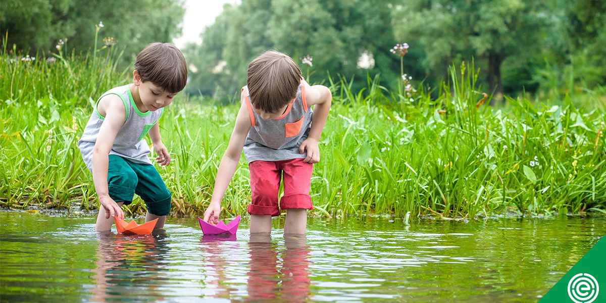 algae pictures for kids