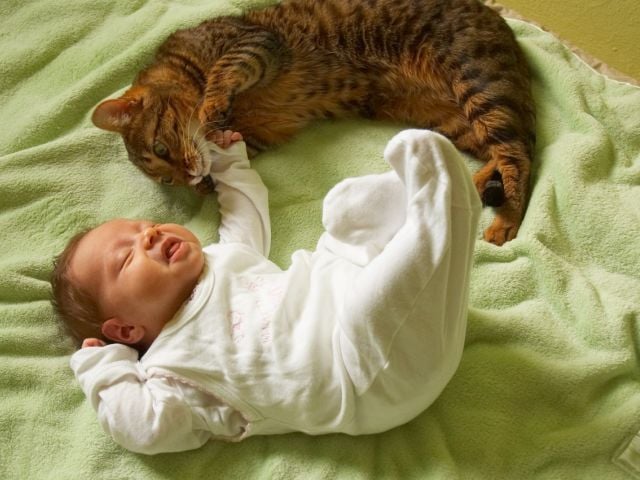 Baby and cat