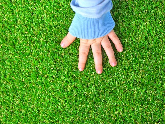 Child touching turf grass