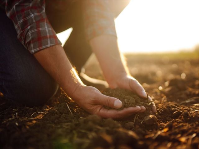 Farmer holding soil