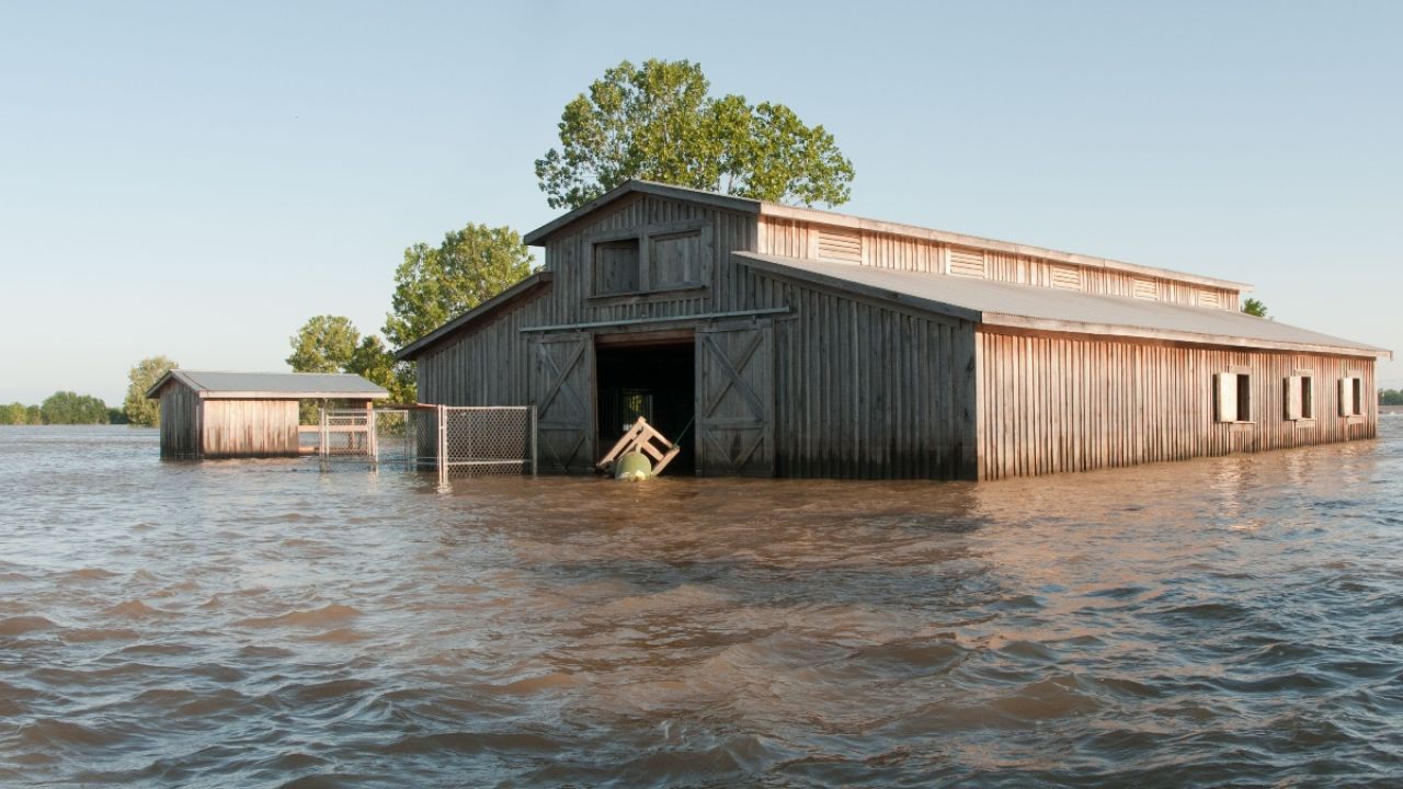 Flooded barn
