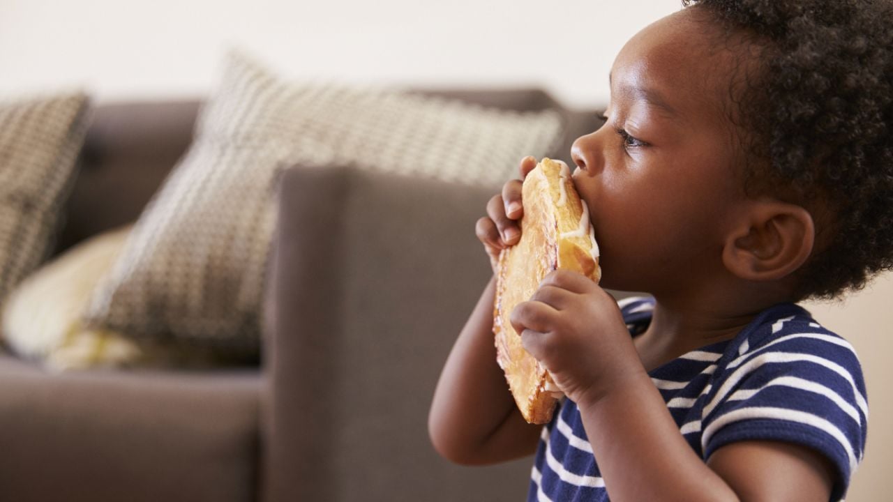 Kid eating grilled cheese