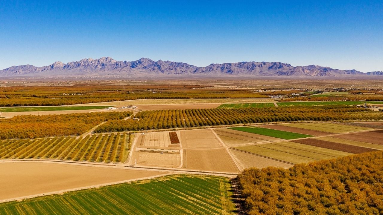 Crop fields in Las Cruces, NM